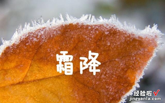 10月23日,是“霜降”节气,饮食上应该吃什么,又该如何养生呢?