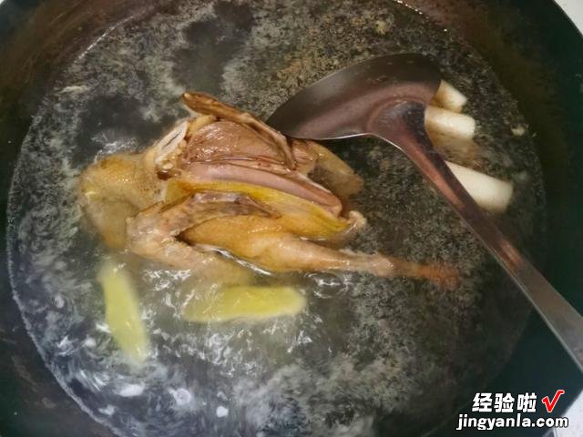 炖鸽子汤时,用老鸽还是乳鸽?教你正确的做法,汤汁鲜美没有腥味