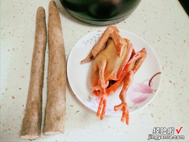 炖鸽子汤时,用老鸽还是乳鸽?教你正确的做法,汤汁鲜美没有腥味