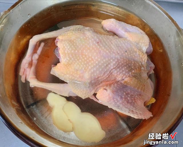 炖鸽子汤时,用老鸽还是乳鸽?教你正确的做法,汤汁鲜美没有腥味