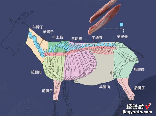 羊肉怎么买?懂行人专挑这5个部位,营养高口感嫩,老板都佩服你