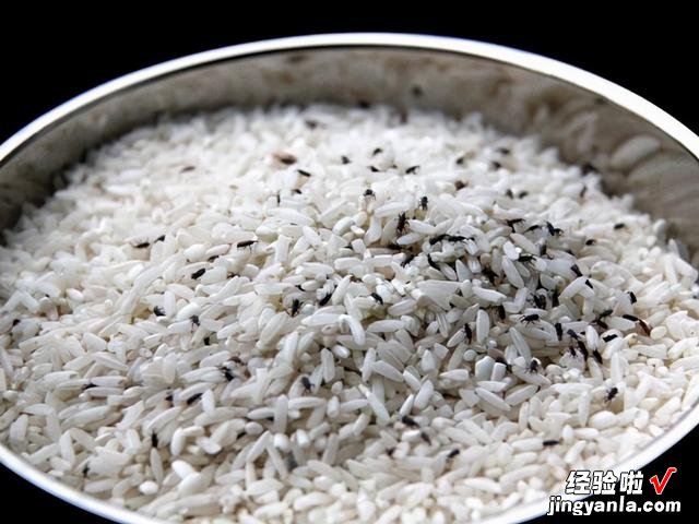 大米里的黑色小虫子,到底是从哪里冒出来的?今天终于明白了原因