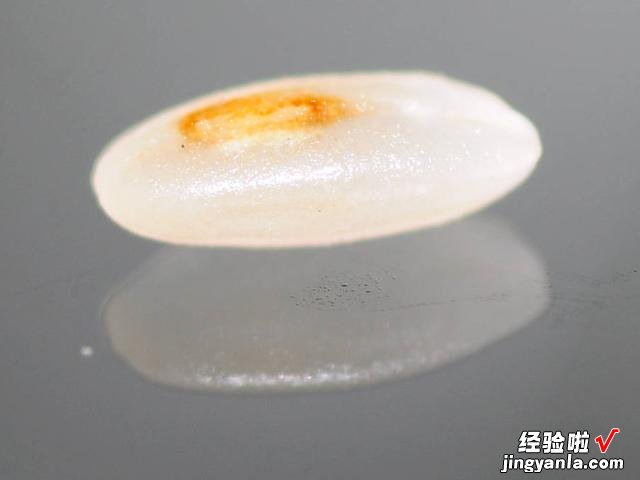 大米里的黑色小虫子,到底是从哪里冒出来的?今天终于明白了原因