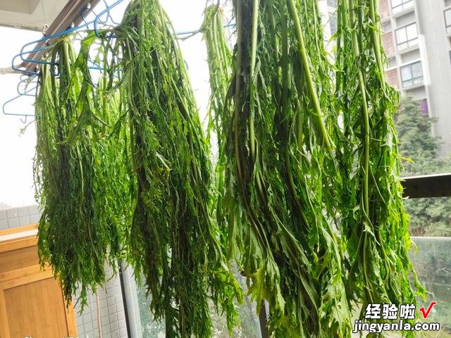 雪里蕻怎么腌好吃？奶奶用了30年的老方法，清脆爽口，一遍就学会