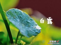 今日白露，老人常说“白露吃五宝，半年无病扰”，五宝指的是啥？