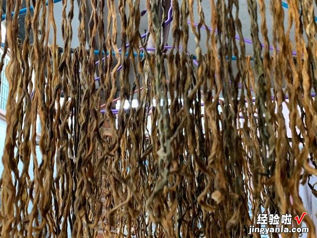 趁着阳光充足,这9种蔬菜可以多晒一些,留着冬天吃,炖肉特别香