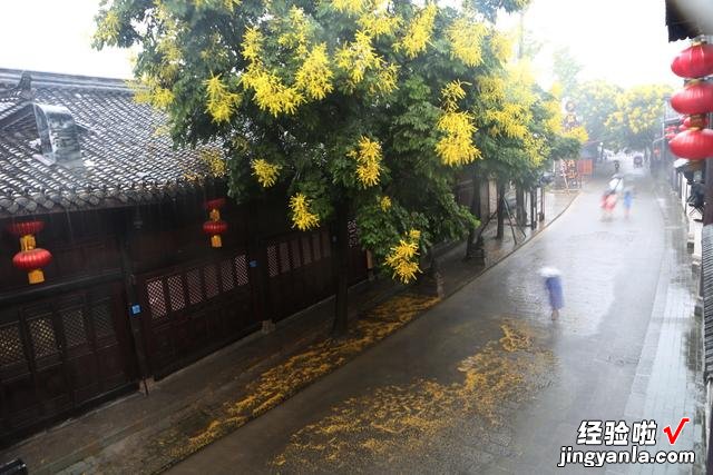 “一场秋雨一场寒，十场秋雨穿上棉”，末伏已结束，注意增添衣物