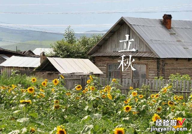 立秋将至，老人常说“立秋吃五宝，半年无病扰”，五宝指的是啥？