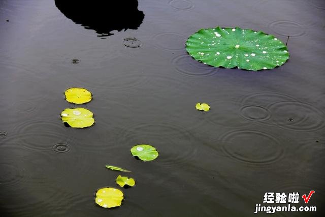 今日立秋，立秋出现打雷下雨，有什么征兆吗？看看古人留下的谚语