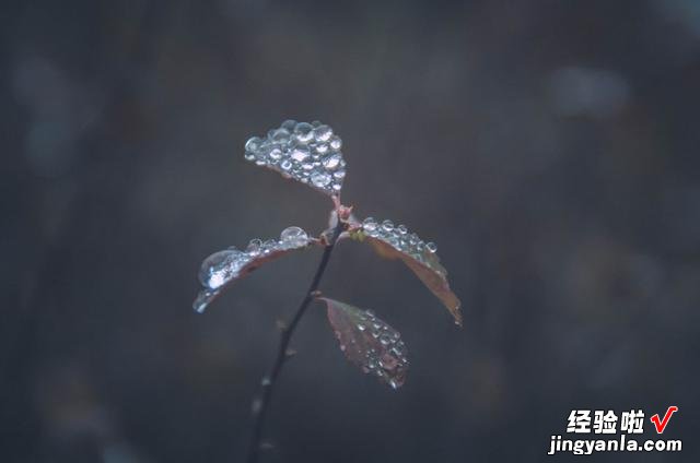 今日立秋，立秋出现打雷下雨，有什么征兆吗？看看古人留下的谚语