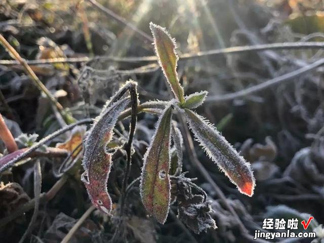 今日立秋，立秋出现打雷下雨，有什么征兆吗？看看古人留下的谚语