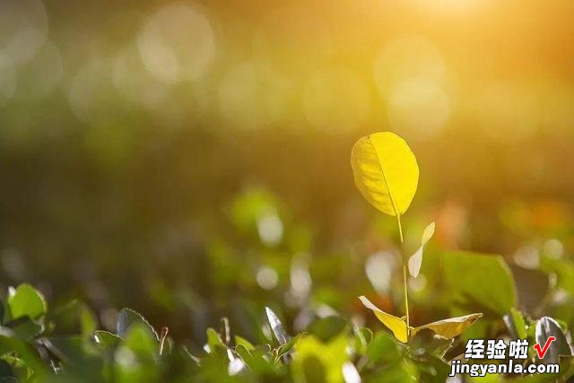 7号立秋，今年是早立秋还是晚立秋，有三种说法，哪一种才对呢？