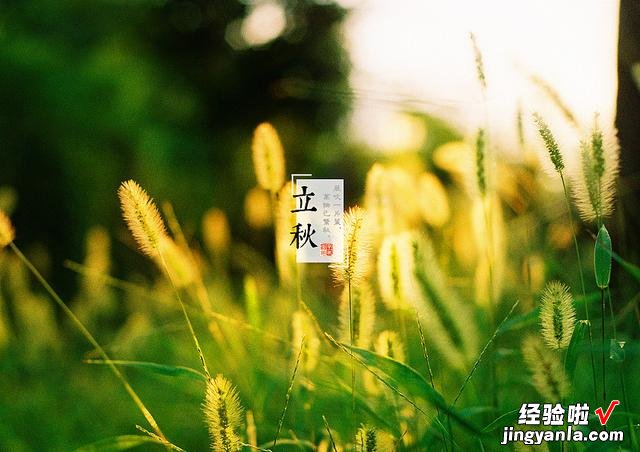 7号立秋，今年是早立秋还是晚立秋，有三种说法，哪一种才对呢？