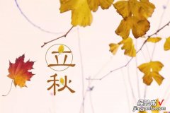 立秋节气将至，牢记“3要吃3不吃”，合理安排饮食，健康迎接秋季