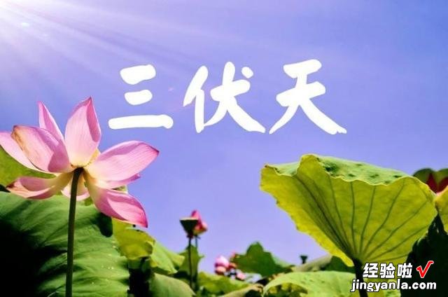 这3种瓜都是应季蔬菜，价格便宜，消暑增食欲，帮你安稳度过夏天