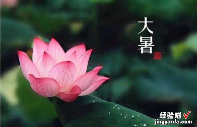 老人常说“大暑连天阴，遍地出黄金”，这是什么意思？看完涨知识