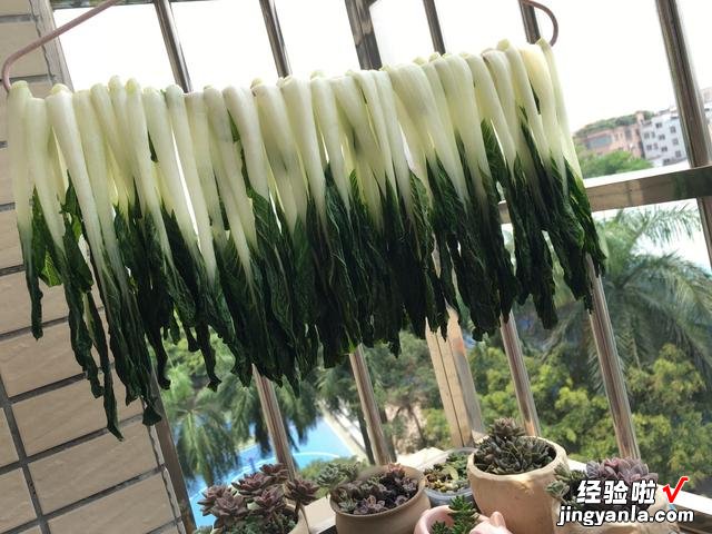 这5种蔬菜晒干后，比新鲜的还好吃，放一年都不坏，炖肉干香美味