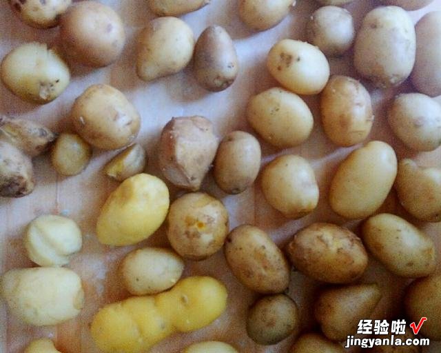 这5种蔬菜晒干后，比新鲜的还好吃，放一年都不坏，炖肉干香美味