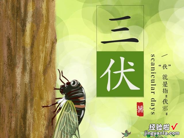 如何给肉馅去腥味?老师傅这样说,料酒是大忌,可惜还有人不知道