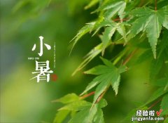 明日小暑，提前备好“小暑3件套”，跟随节气变化，顺利度过夏天