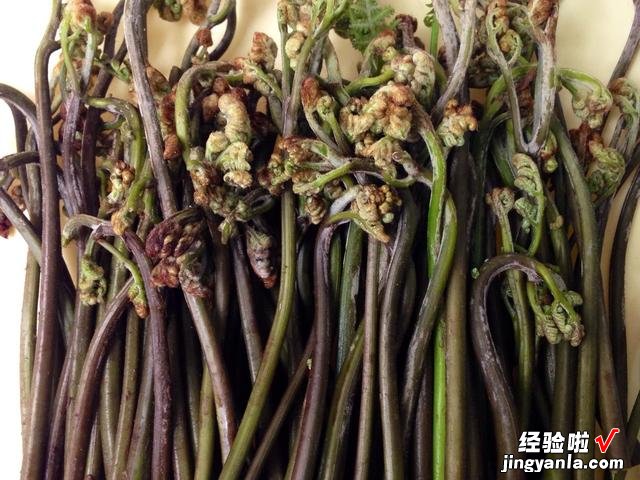 5种野菜图片，带你见识不同的野菜和吃法，营养丰富，好吃又健康