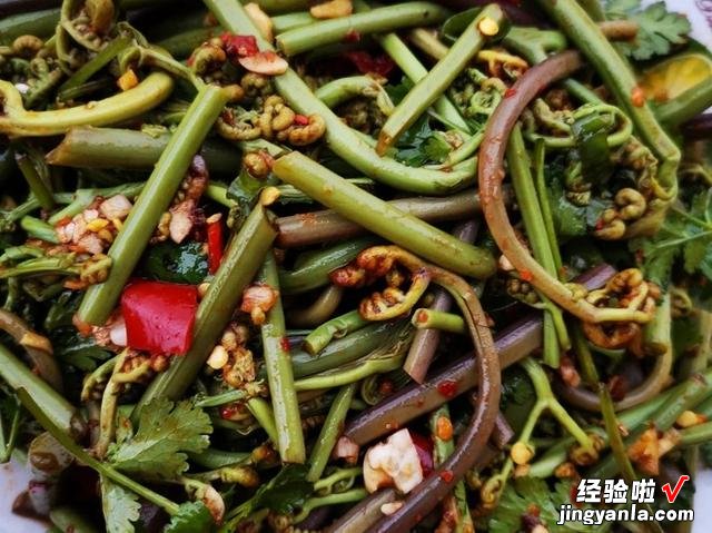 5种野菜图片，带你见识不同的野菜和吃法，营养丰富，好吃又健康