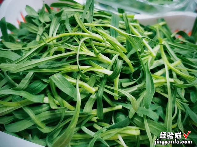 5种野菜图片，带你见识不同的野菜和吃法，营养丰富，好吃又健康