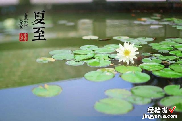 老俗语“冬至饺子夏至面”，夏至为什么要吃面条？看完真的涨知识