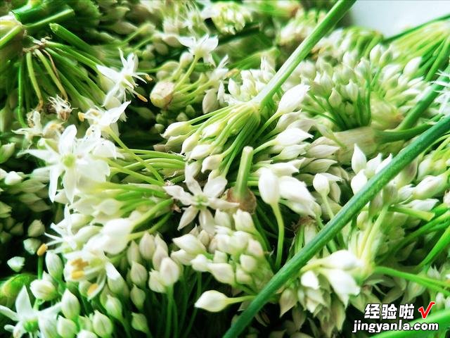 腌韭菜花，只加盐不好吃！多放2种食材，鲜香味美，放一年不变质