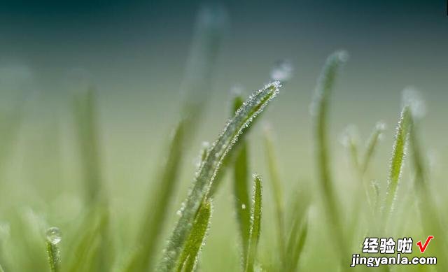 今天10月23号，是“霜降”节气，饮食上吃啥？才能对身体好？