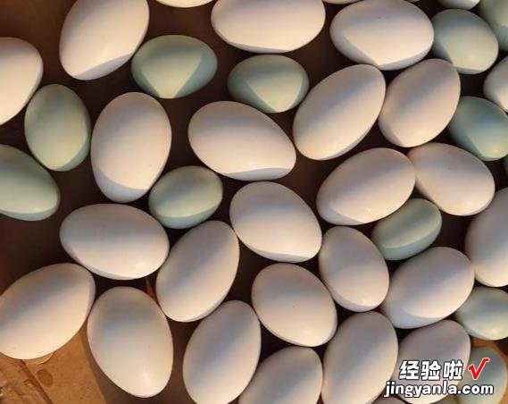 咸鸭蛋的传统做法,不裹泥不裹盐,28天流油起沙,个个咸香入味