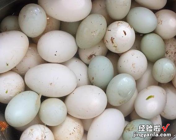咸鸭蛋的传统做法,不裹泥不裹盐,28天流油起沙,个个咸香入味
