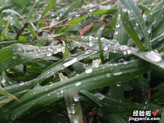 今日秋分，老人常说“秋分响雷，遍地生贼”，你知道什么意思吗？