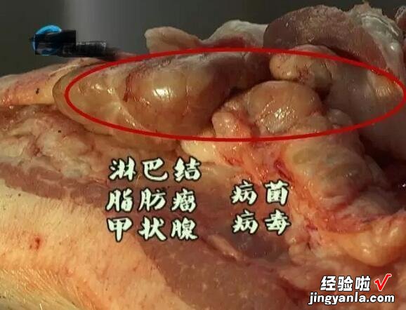 猪身上有一块肉，叫做“槽头肉”，买时擦亮双眼，肉贩自己都不吃