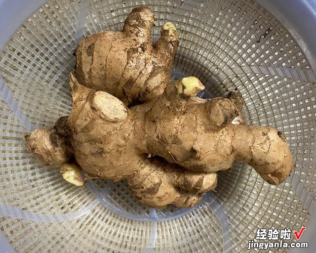 夏季养生，建议每天早上吃点姜，教你3种新吃法，安稳健康度夏天