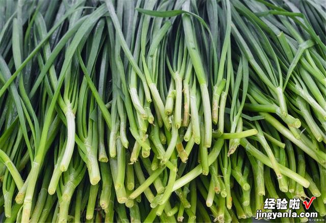 想吃韭菜饺子,老人却说“六月韭,臭死狗”,你知道什么意思吗?