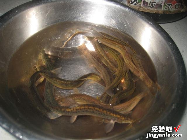 泥鳅要不要掏内脏?很多人搞不明白,为了家人的健康,不妨看一看