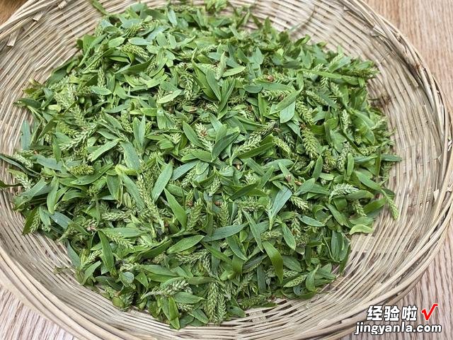 进入4月，这几种树上野菜别错过，营养高无农残，给红烧肉都不换