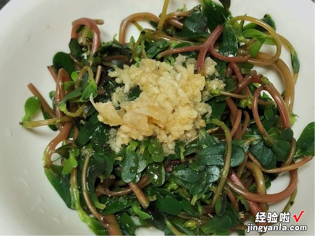 春天最大的乐趣就是挖野菜，营养丰富，味道鲜美，快来认识一下吧