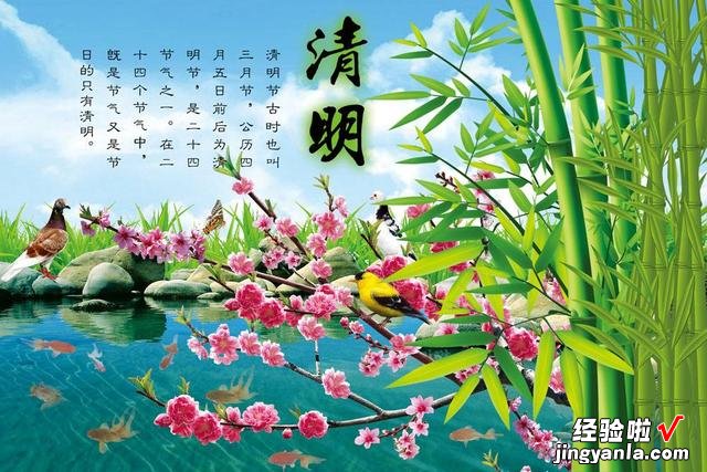清明节前后,记得多吃此食物,营养美味不油腻,女性朋友食疗佳品