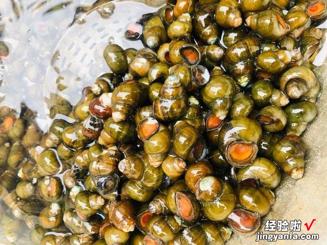 这4种食材寄生虫很多，你可能经常吃，为了家人健康，不妨看一看