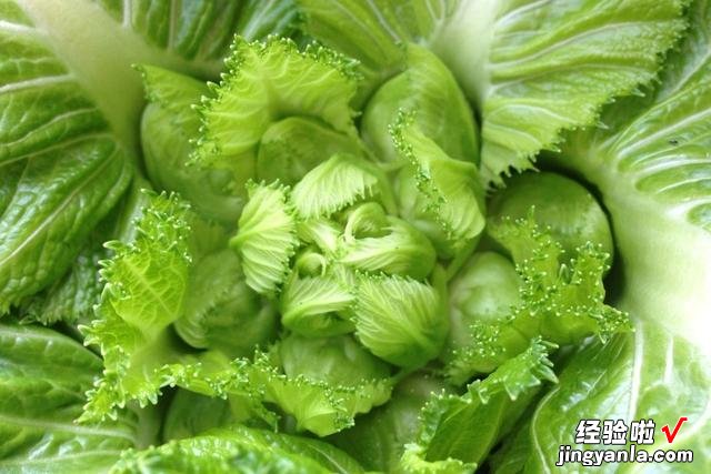 冬天最受欢迎的5种蔬菜,一次腌20斤,冬天慢慢吃,解腻又下饭
