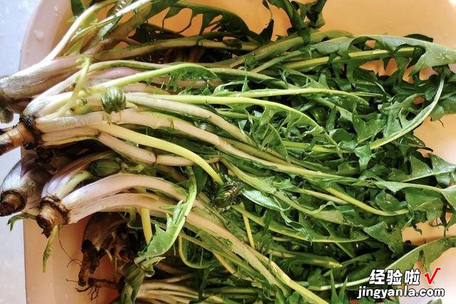 农村常见的4种野菜，总被误认为杂草，其实都是宝，调饺子馅很香