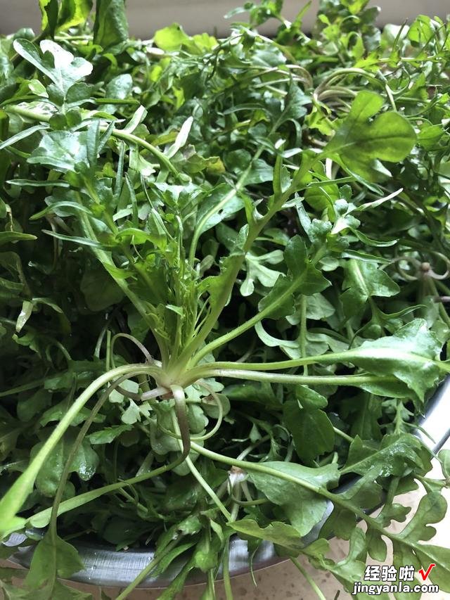 农村常见的4种野菜，总被误认为杂草，其实都是宝，调饺子馅很香