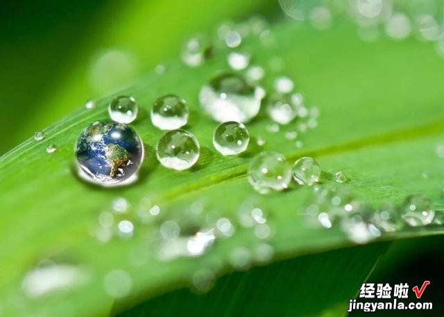 老人常说“白露水，赛砒霜，立冬水，似蜜糖”，你知道啥意思吗？