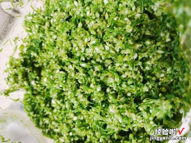 奶奶每年都要腌韭花，简单3步就做好，味道鲜美，冬天涮火锅必备