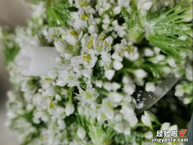 奶奶每年都要腌韭花，简单3步就做好，味道鲜美，冬天涮火锅必备