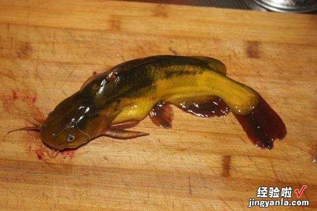 东北有句俗语,“鲶鱼炖茄子,撑死老爷子”,你知道什么意思吗?