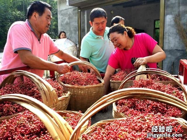 中国哪的花椒正宗？经过对比，这5个地方名气最大，有你家乡吗？