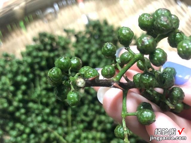 花椒油直接用油炸不对，大厨教你正确做法，又香又麻，方法还简单